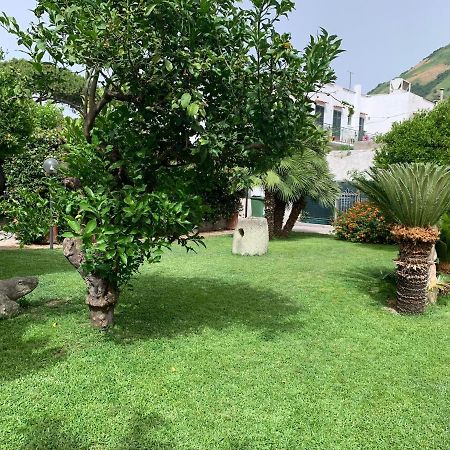 Bilocale con open-space super centrale con WI-FI Forio di Ischia Extérieur photo