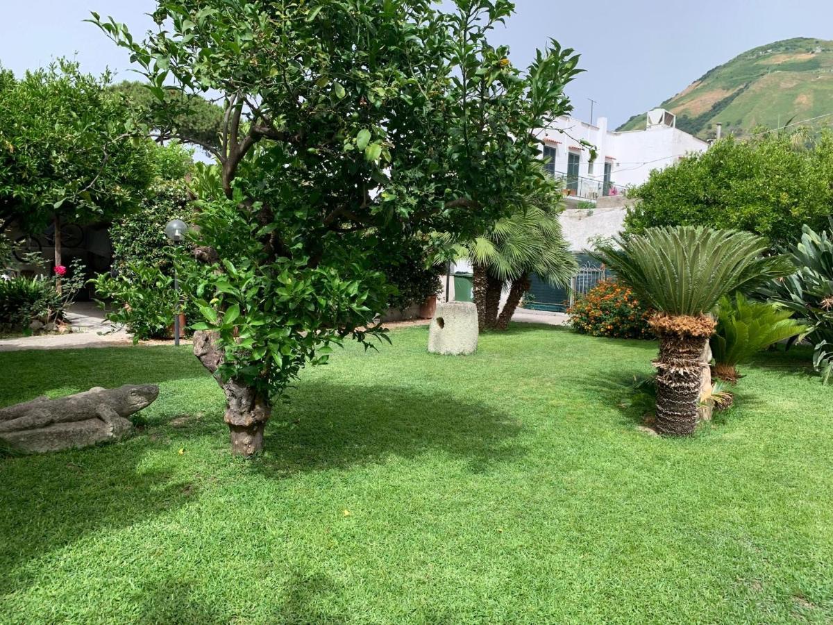 Bilocale con open-space super centrale con WI-FI Forio di Ischia Extérieur photo